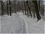 Stara Vrhnika - Koča na Planini nad Vrhniko